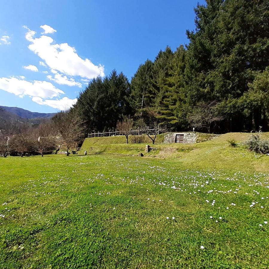 Il Bosco Di Campo Marzano Green & Sky Borzonasca Luaran gambar